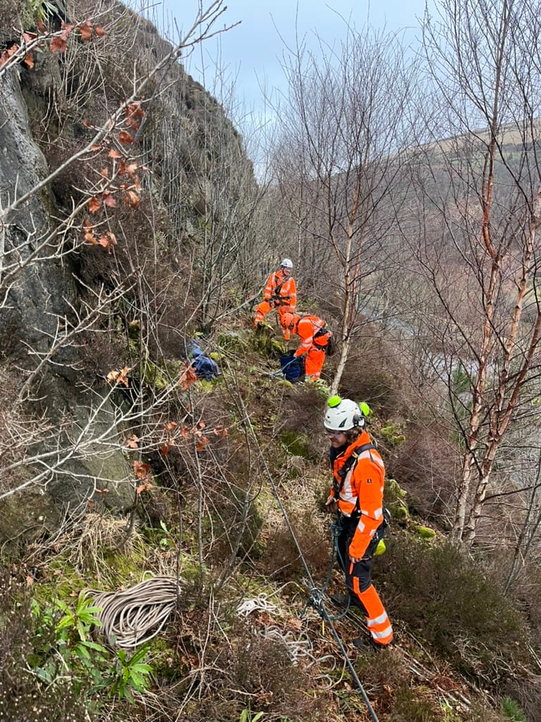Wessenden Valley Rhododendron Removal — rope access team clearing rhododendron on crag