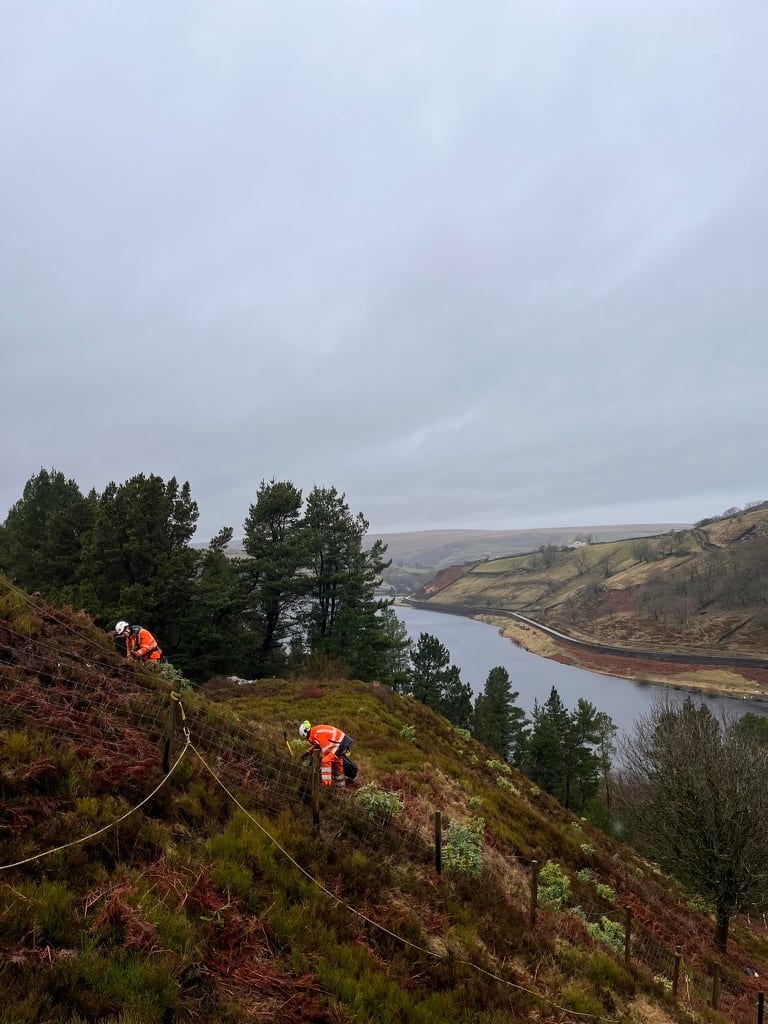 Wessenden Valley Rhododendron Removal — rope access on valley slope above reservoir