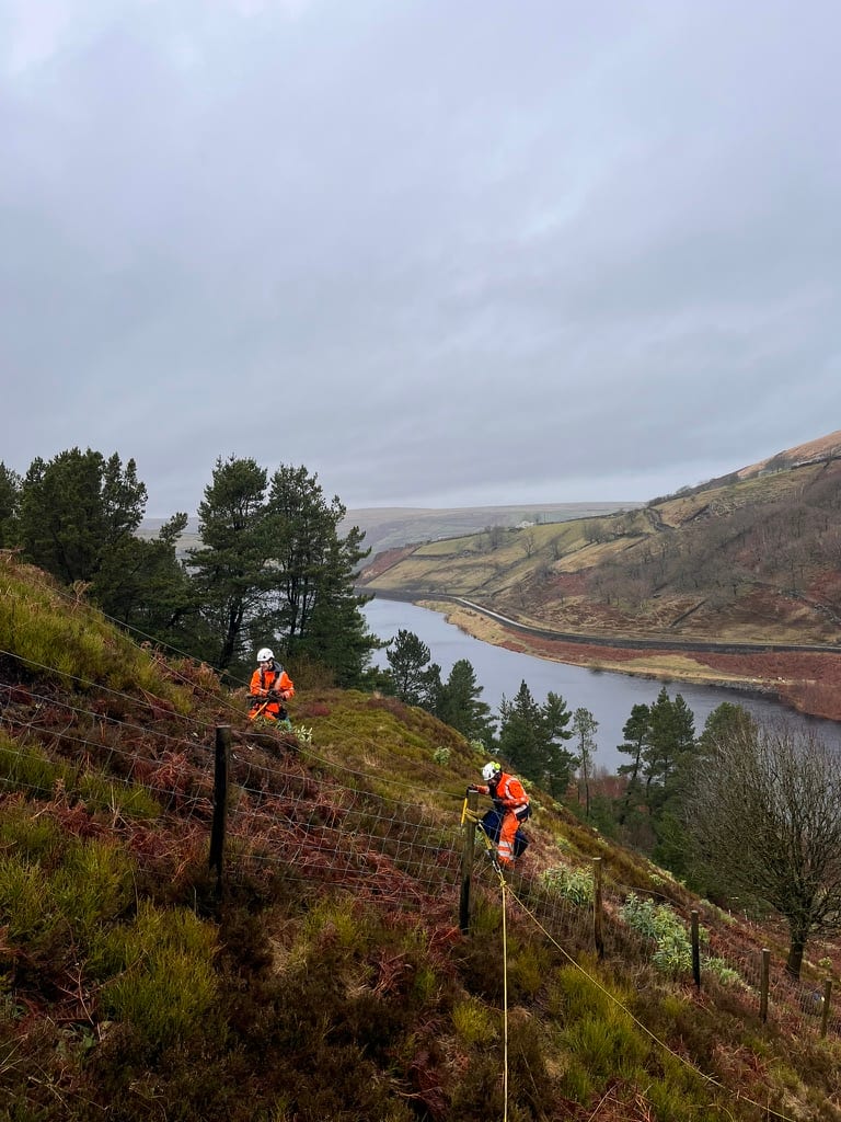 Wessenden Valley Rhododendron Removal — technicians working down heather slope