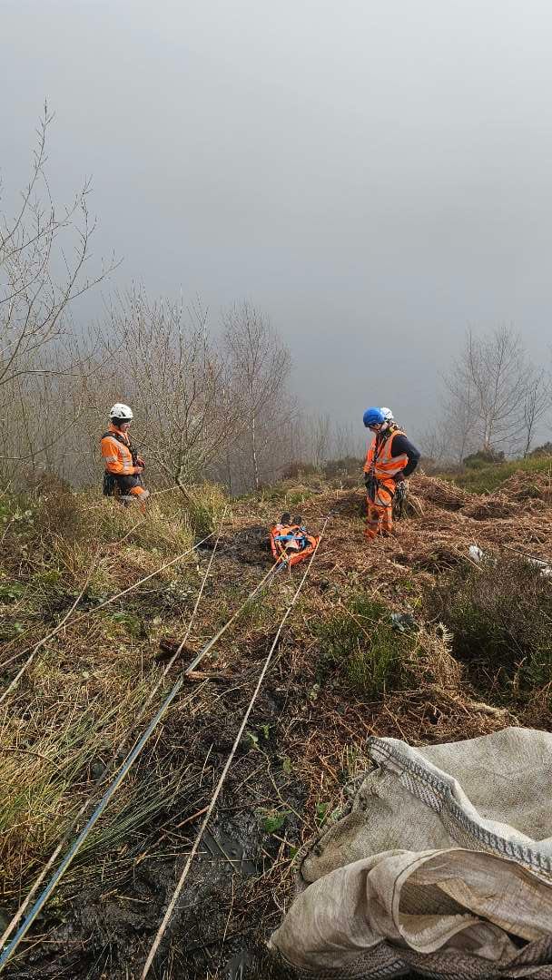 Wessenden Valley Rhododendron Removal — bagging cleared rhododendron on slope