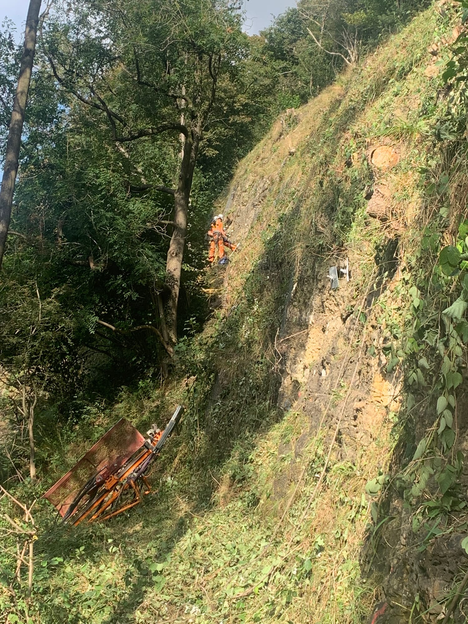 Vegetation clearance — steep wooded cutting