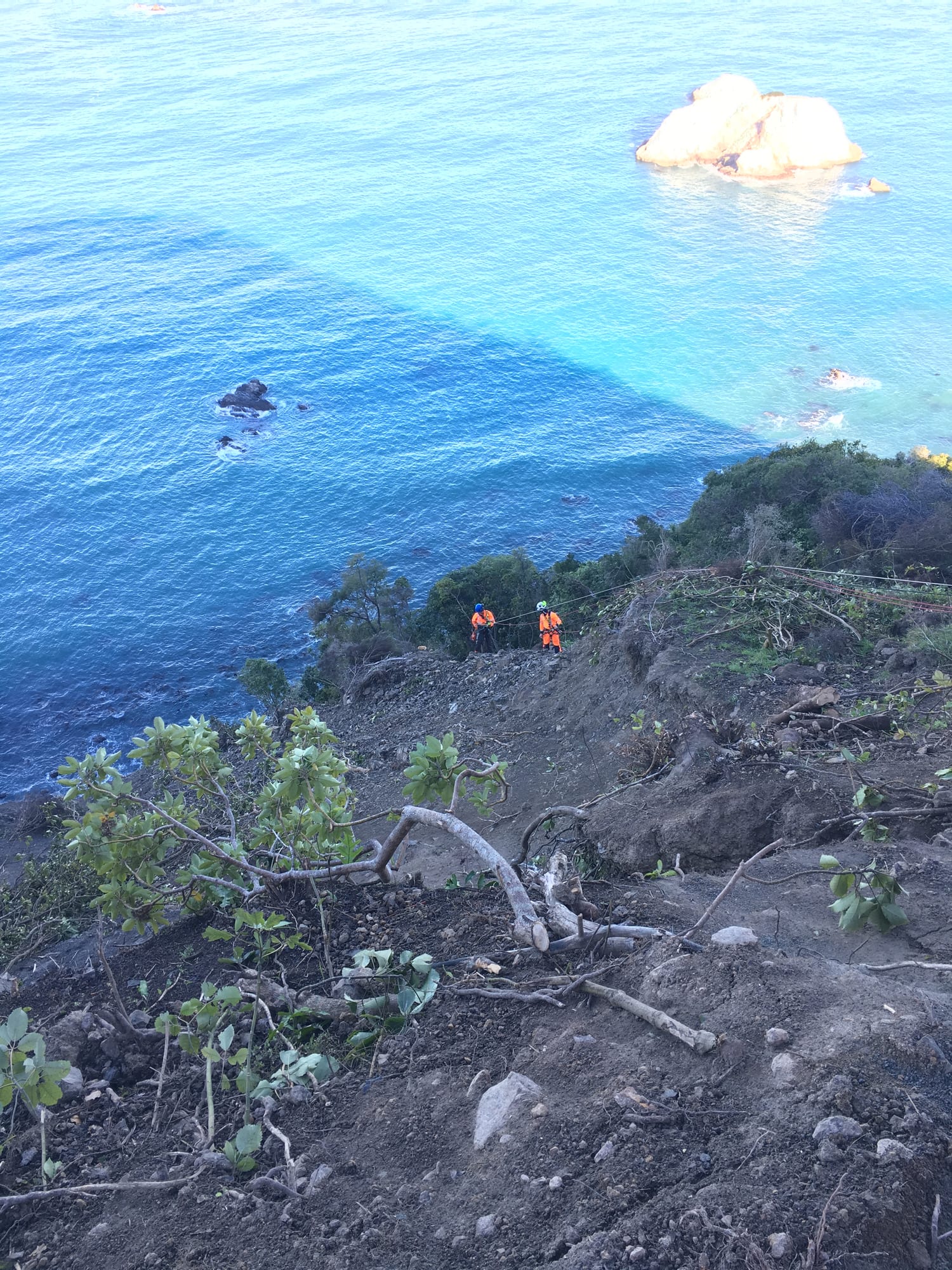Vegetation clearance — cleared coastal slope