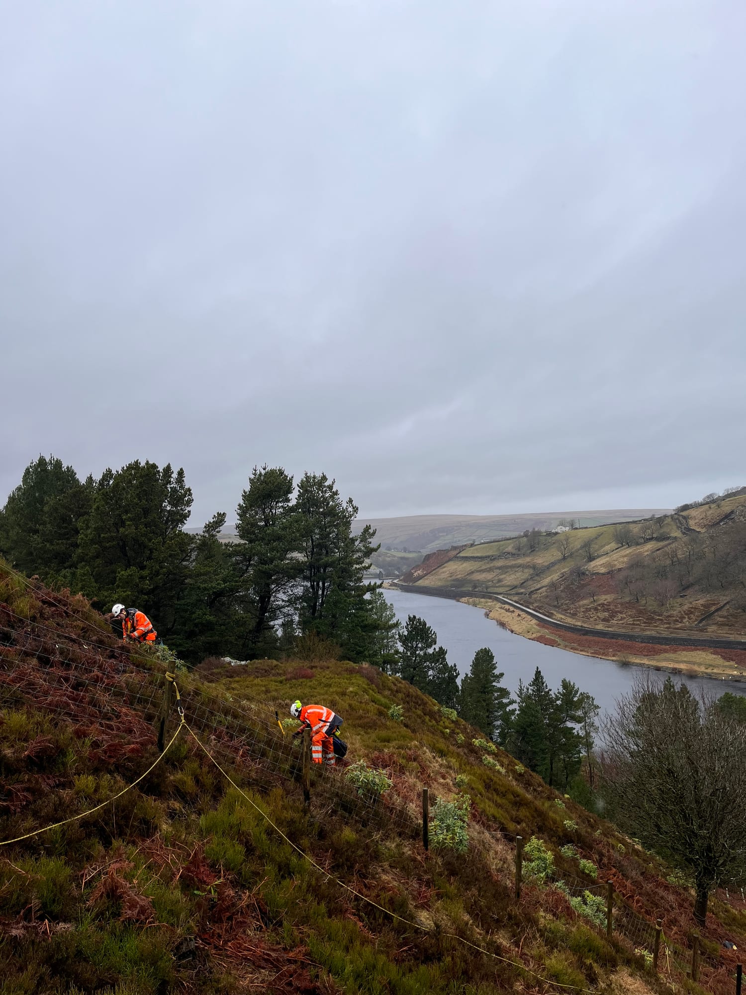 Vegetation clearance — reservoir valley slope