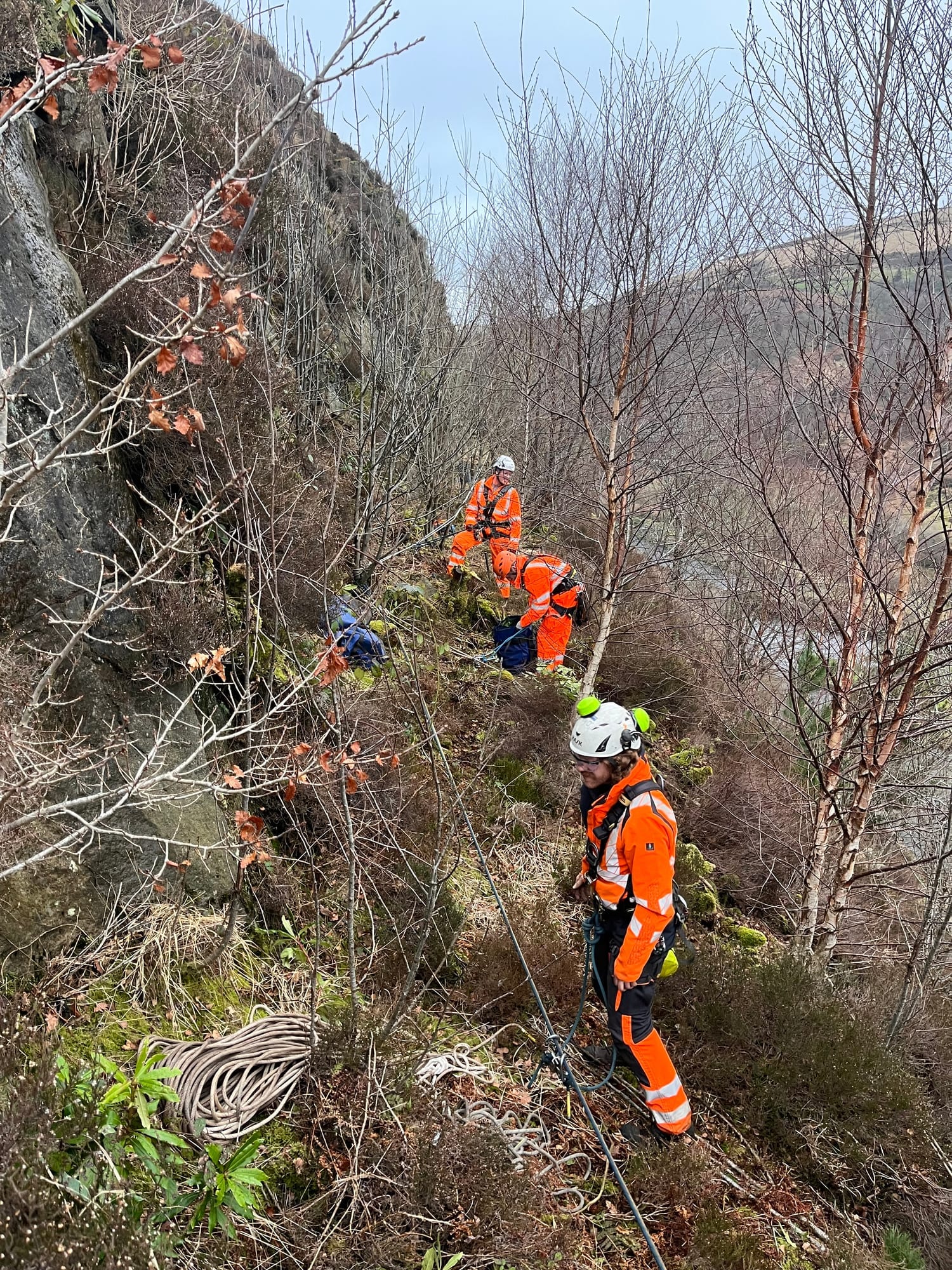 Vegetation clearance — rocky wooded slope