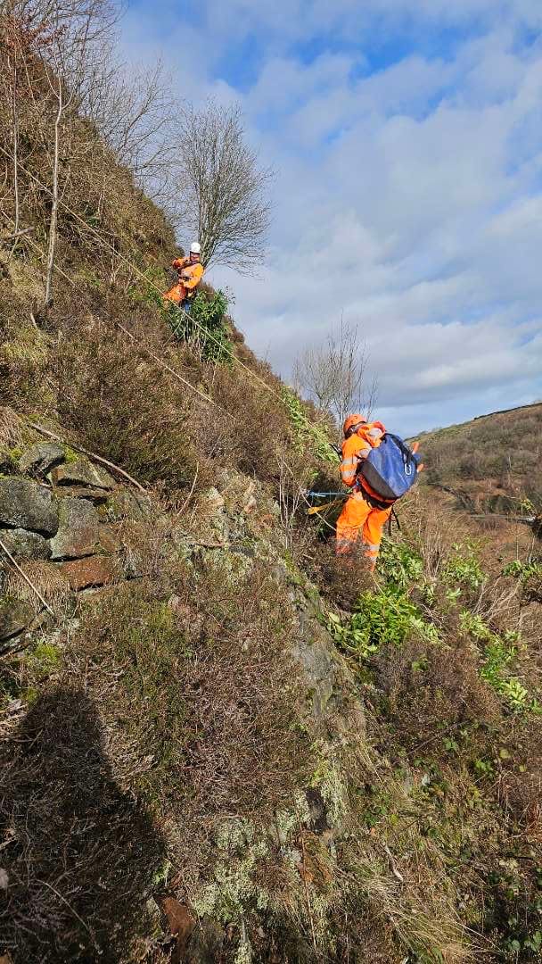 Vegetation clearance — vegetated rock face
