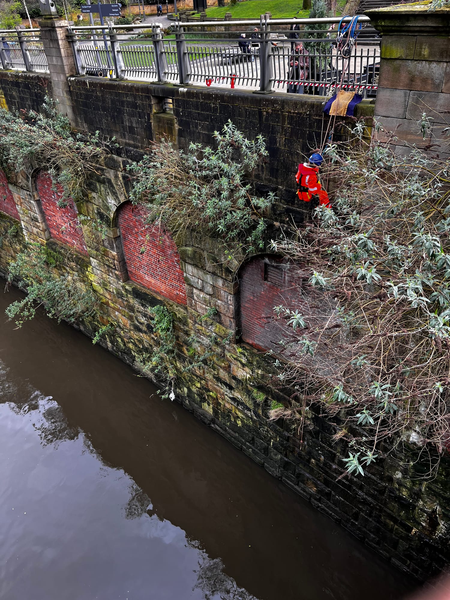 Rope access road & rail — canal wall vegetation